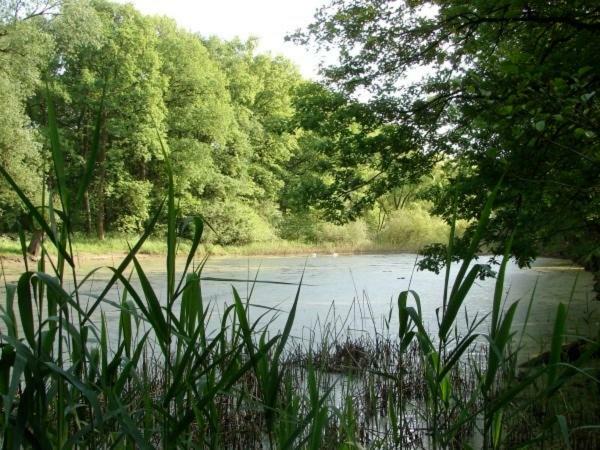 Ferienhaus Bindow Heidesee Zewnętrze zdjęcie